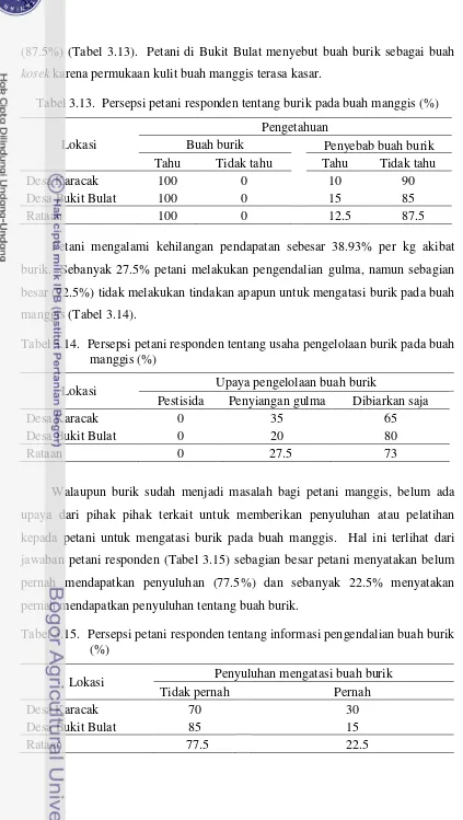 Tabel 3.13.  Persepsi petani responden tentang burik pada buah manggis (%) 