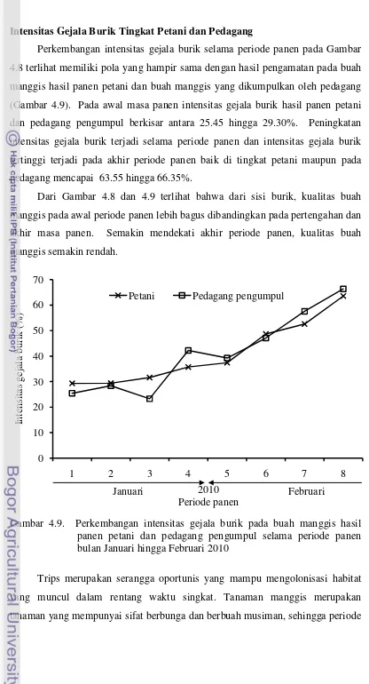 Gambar 4.9.  Perkembangan intensitas gejala burik pada buah manggis hasil 