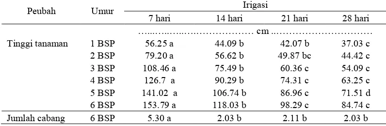 Tabel 2  Rata-rata tinggi tanaman dan jumlah cabang genotipe jarak pagar pada berbagai frekuensi irigasi 