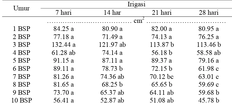 Tabel 4  Rata-rata luas daun jarak pagar pada berbagai frekuensi irigasi 