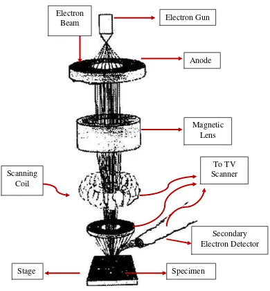 Gambar 2.9. Skematik alat scanning electron microscopy (SEM) (Goldstein et al, 1981) 