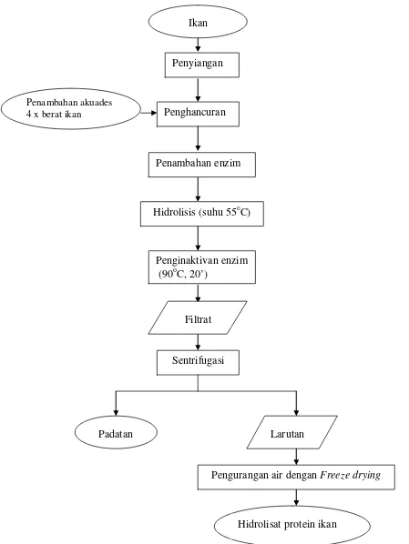 Gambar 1. Diagram alir proses pembuatan hidrolisat protein ikan (modifikasi Imm dan Lee, 1999) 