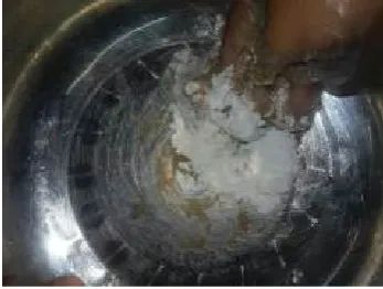 Gambar 9 : Bulatan Bakso di 