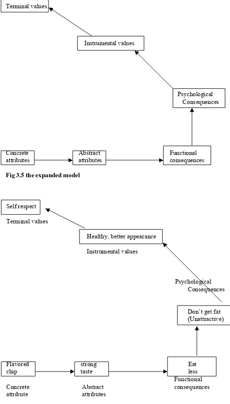 Fig 3.5 the expanded model 