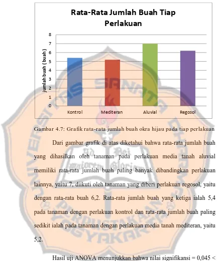 Gambar 4.7: Grafik rata-rata jumlah buah okra hijau pada tiap perlakuan 