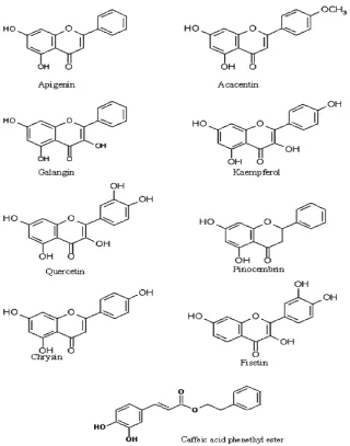 Gambar. 2.4. Chemical structures of the most important flavonoids found in honey and 