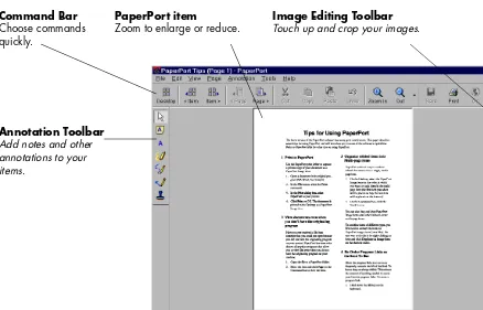 Figure 2.  The Page View Window