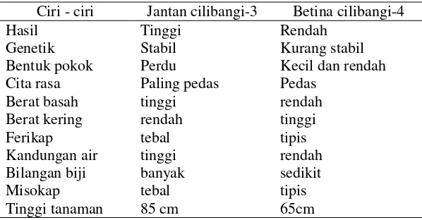 Tabel 1 Perbedaan induk jantan cilibangi-3 dan betina cilibangi-4  