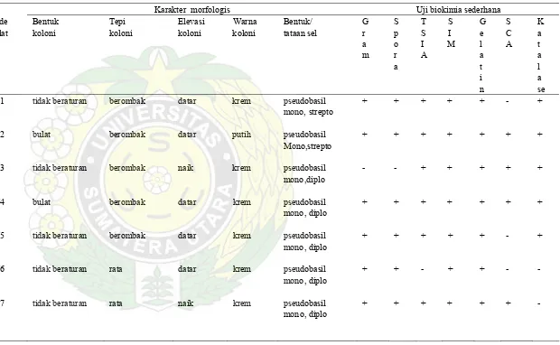 Tabel  3.  Karakter  Morfologi dan  Sifat Biokimia Isolat  BakteriTermofil  Amilolitik Penen Sibirubiru 