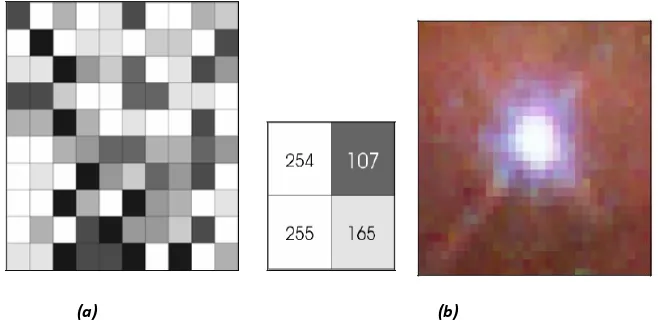 Gambar 13.9  Image greyscale 8 bit (a), dan image true color yang tersusun dari 3 greyscale image berwarna merah, hijau dan biru yang dapat berisi hingga 16 juta warna berbeda (b)