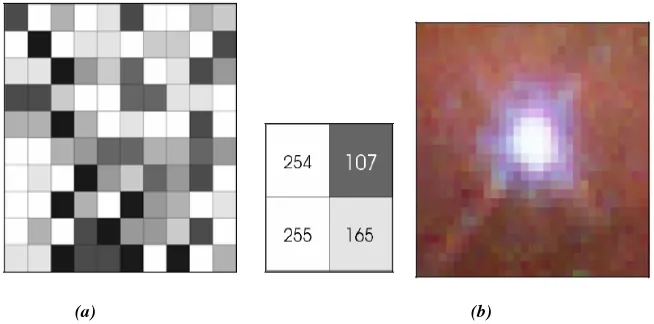 Gambar 1.10  Image greyscale 8 bit (a), dan image true color yang tersusun dari 3 greyscale image berwarna merah, hijau dan biru yang dapat berisi hingga 16 juta warna berbeda (b)