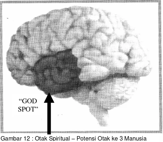 Gambar 12 : Otak Spiritual  Potensi Otak ke 3 Manusia