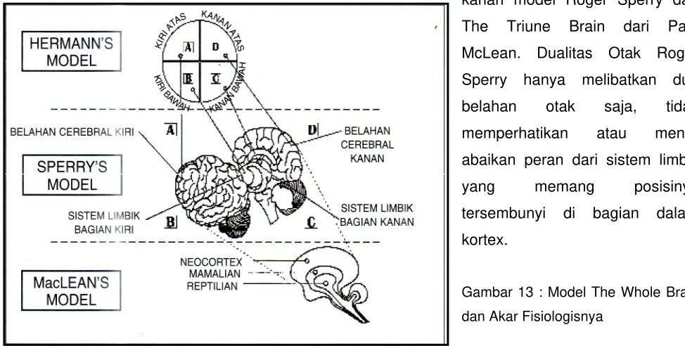 Gambar 13 : Model The Whole Brain 