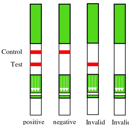 Gambar 1. Pembacaan hasil pengujian porcine detection kit (PerkinElmer, 2011) 