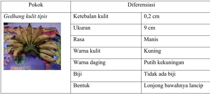 Tabel 6