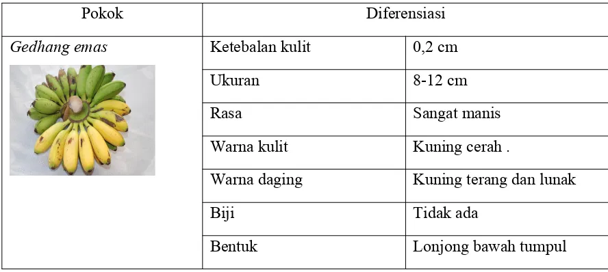 Tabel  8 Analisis komponen makna gedhang emas 