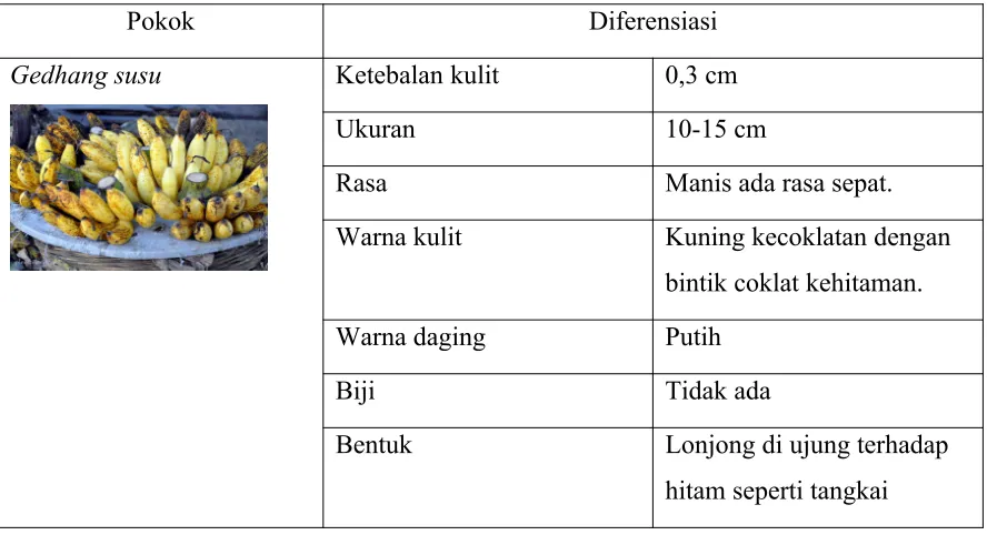 Tabel 11