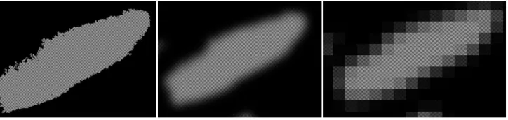 Fig. 3. Active Alpha channel and the Brightness option / Contrast (brightness / contrast) Source: Elaboration of the Author 