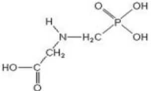 Gambar 1. Rumus Bangun Glifosat (N-phosphonomethyl-glycine) (Riadi, 2011)