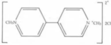 Gambar 4. Struktur kimia 1,1−dimethyl 4,4 bipyridylium dichlorid (Sumber: Lestari, 2005).
