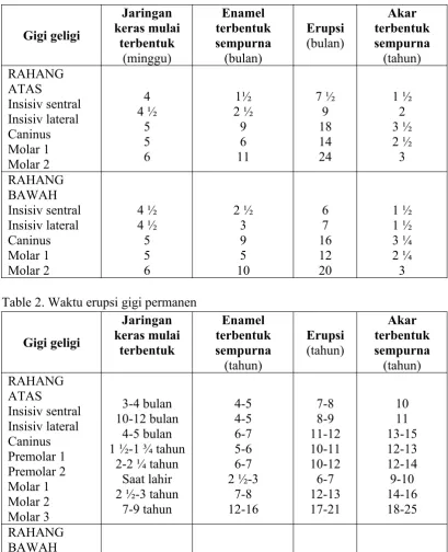 Table 2. Waktu erupsi gigi permanen 