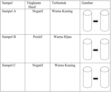 Tingkatan  Hasil TerbentukGambar
