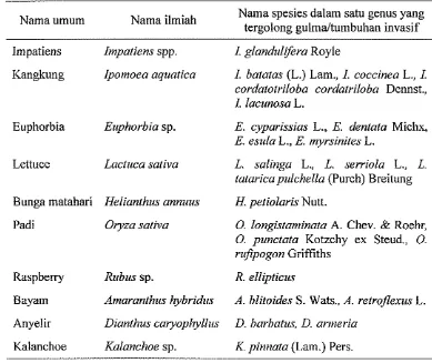 Tabel 6 Jenis tumbuhan yang dalam satu genus memiliki spesies lain yang tergolong gulmdtumbuhan invasif 