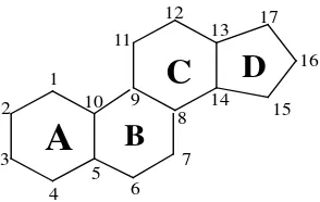 Gambar Penulisan lambang keempat (A, B, C, D) inti steroida. 