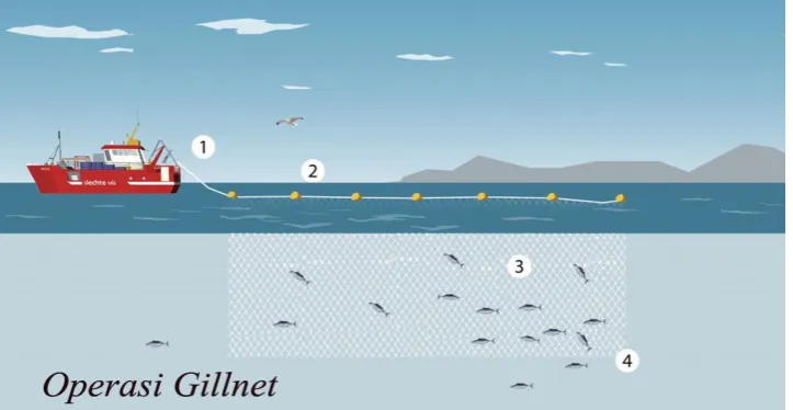 Gambar 5. Pengoperasian Gillnet 