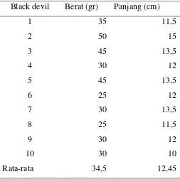 Tabel 3. Panjang Berat Ikan Black Devil 