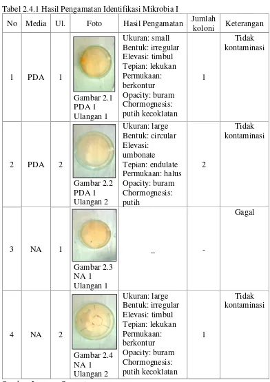 Tabel 2.4.1 Hasil Pengamatan Identifikasi Mikrobia I