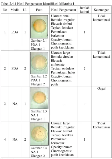 Tabel 2.4.1 Hasil Pengamatan Identifikasi Mikrobia I