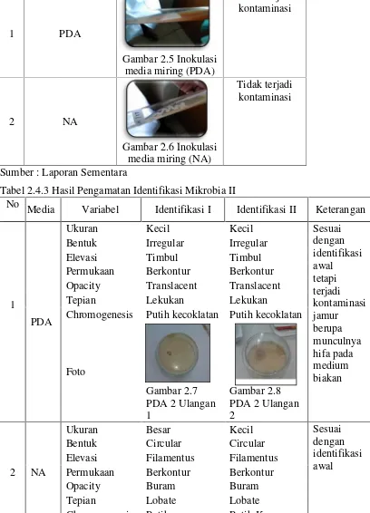 Gambar 2.5 Inokulasi