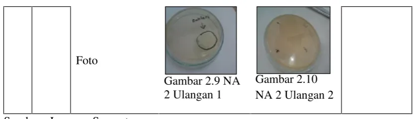 Gambar 2.9 NAGambar 2.10