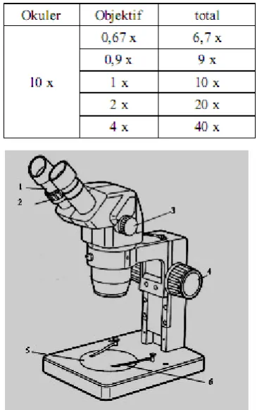 Gambar 3. Mikroskop Stereo