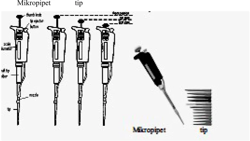 Gambar 8. Mikropipet