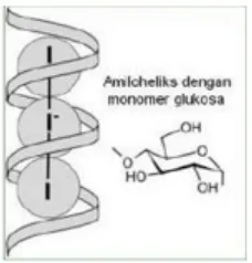 Gambar 8. Molekul iodium bergabung dengan struktur heliks pati