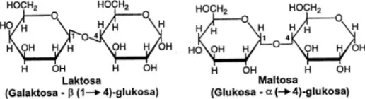 Gambar 1. Struktur Gula Aldosa dan Ketosa
