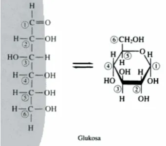 Gambar 5. Struktur Fruktosa