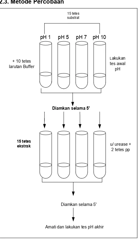 Gambar 2. Metode Percobaan Uji Pengaruh pH
