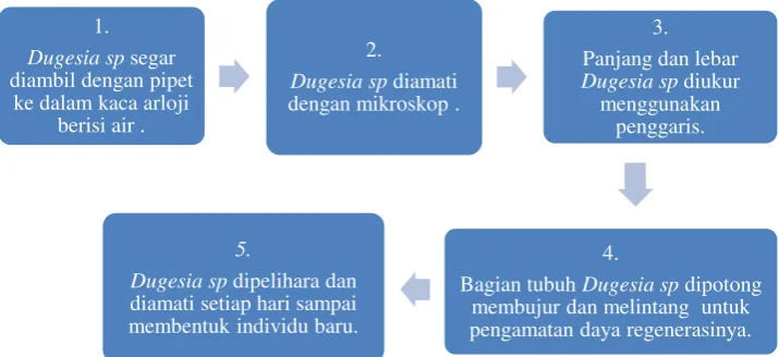 Tabel E.2. Daftar Bahan 