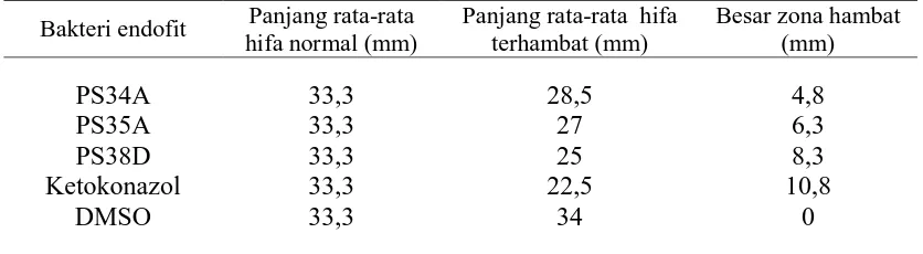 Gambar 4.3.1  Daya hambat ekstrak metanol bakteri PS34A, PS35A dan PS38D terhadap Ganoderma  boninense pada media PDA dengan masa inkubasi 4 hari (Kt = Ketokonazol 10%, DM = DMSO)  