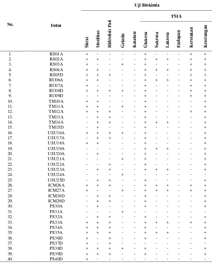 Tabel 4.2.2 Hasil uji biokimia metabolisme bakteri endofit akar dan daun kelapa     sawit 