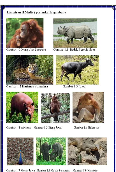 Gambar 1.7 Merak Jawa   Gambar 1.8 Gajah Sumatera  Gambar 1.9 Komodo 