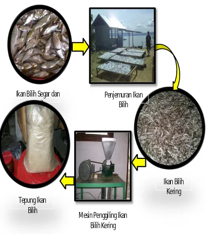 Gambar 3: Proses Pembuatan Tepung Ikan Bilih