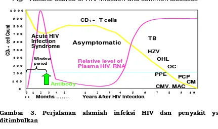 Fig.   Natural course of HIV infection and common diseases