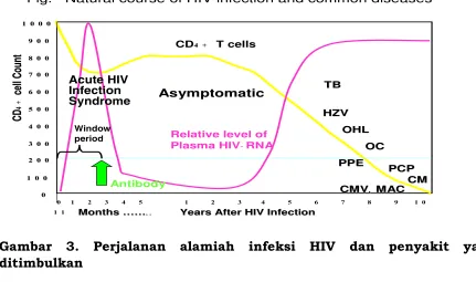 Fig.   Natural course of HIV infection and common diseases