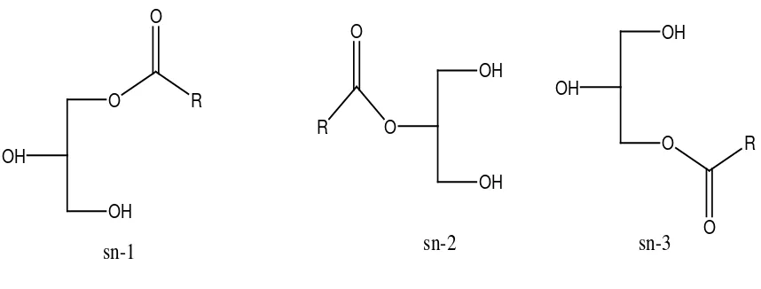 Gambar 2.1. Stereoisomer monogliserida sn-1, sn-2 dan sn-3  