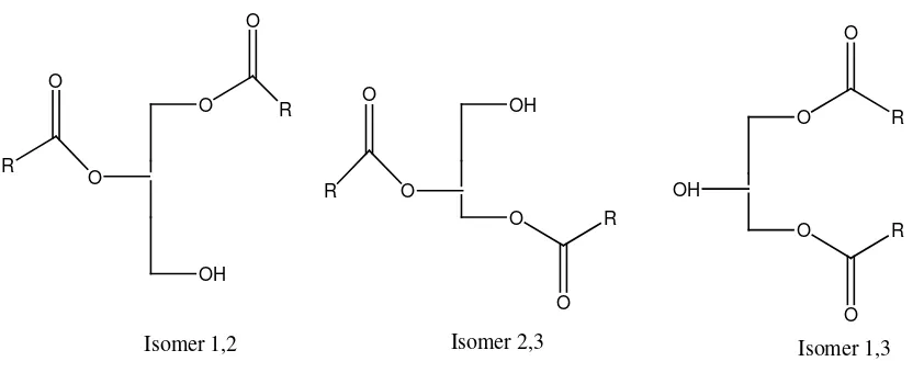 Gambar 2.2.. Isomer digliserida sn-1,2, sn-2,3 dan sn-1,3. 