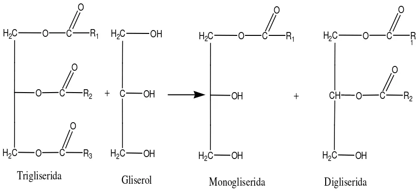 Gambar 2.4 Reaksi Transeresterifikasi Antara Trigliserida Dengan Gliserol 